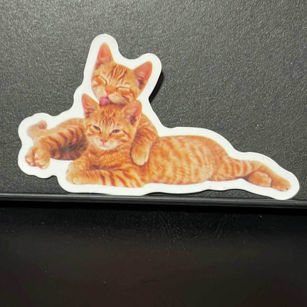 ORANGE CAT BUDDIES STICKER